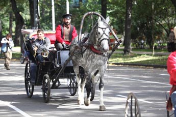Horses as the main symbol of the weekend in Sokolniki