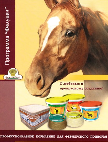 Kapital-PROK Holding to participate at the autumn Equiros’2014 exhibition
