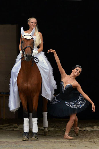 Black Swan Equine Ballet