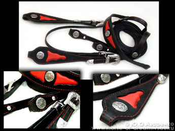 Unique ornate and secure harnesses