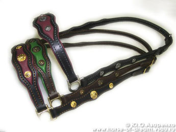 Unique ornate and secure harnesses