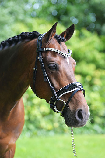 Luxurious halters and headpieces offered by Bonjour, Toto!