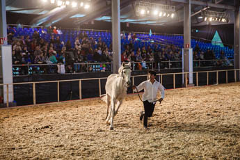 The 20th Anniversary Equiros’2018 Exhibition Launched in Sokolniki 