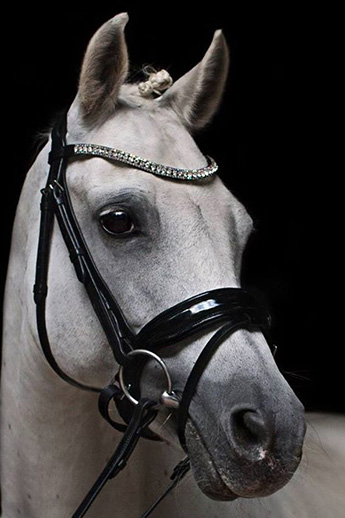 Gorgeous equestrian tack and gear from HORSEFASHION