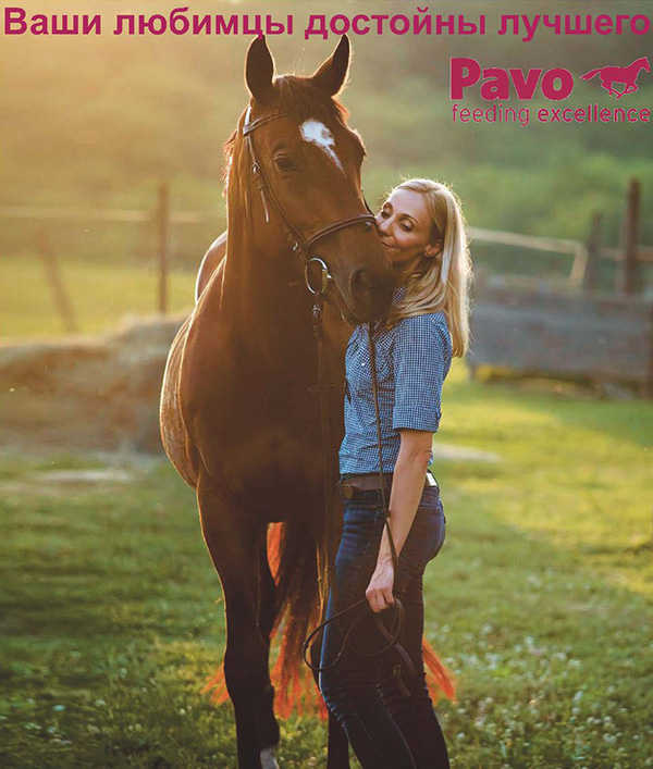 Pavo — это высококачественные корма для лошадей