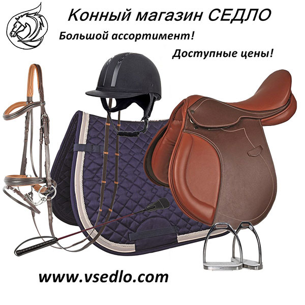 Sedlo equestrian store exhibits riding items at Equiros’2019 