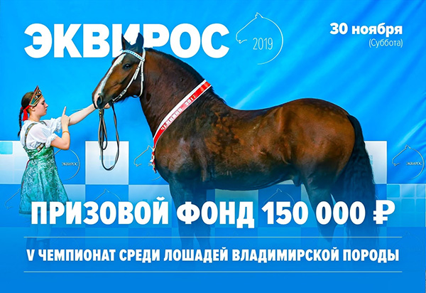 V Чемпионат России среди лошадей владимирской породы