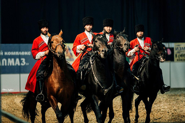The show of Karachai horses 