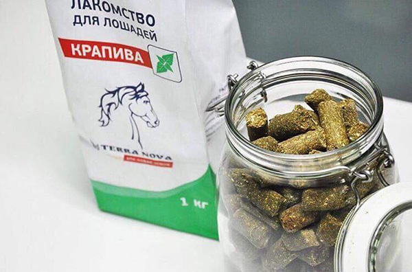 Young and rapidly growing company TerraNova, Russian muesli and treats maker