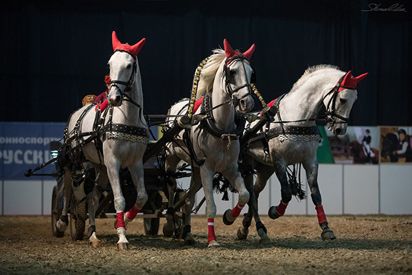 “The Russian Legend. The World of Trotter Races” show performance