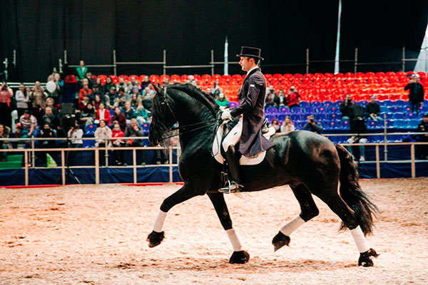 The dates of the Equiros 2020 autumn exhibition have been determined