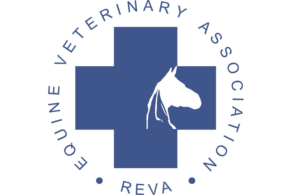 Научно-практическая конференция «Актуальные проблемы ветеринарной медицины лошадей»
