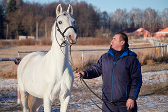 The All-Russian Research Institute for Horse Breeding will set up a booth at the Equiros Professional Exhibition!
