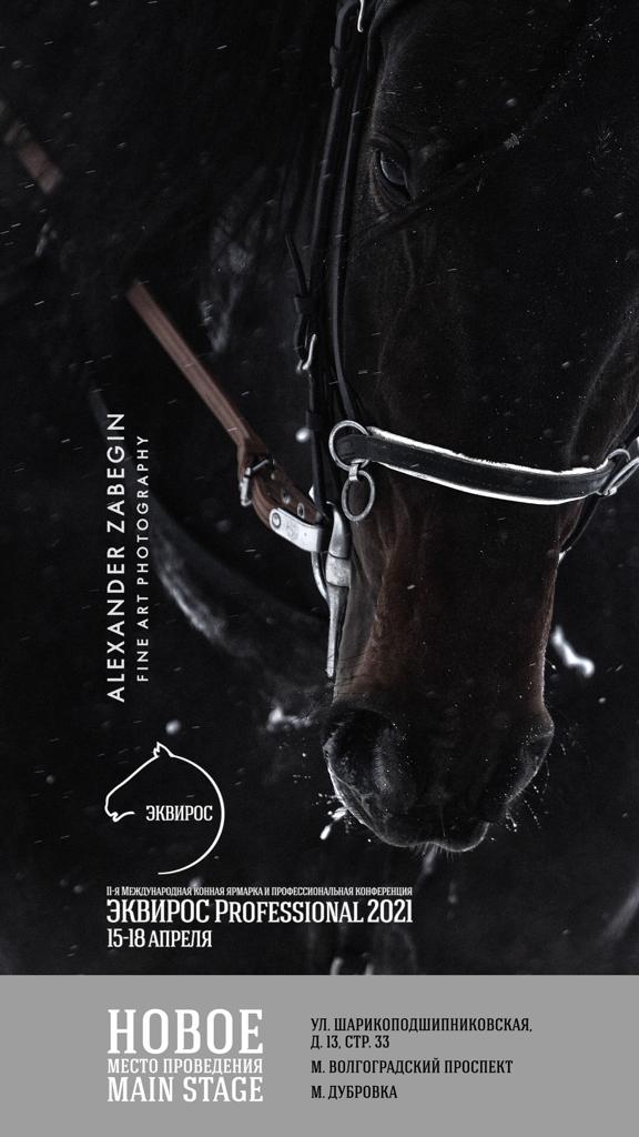 Уникальная фотоэкспозиция «Лошади» Александра Забегина на выставке  «Эквирос Professional»