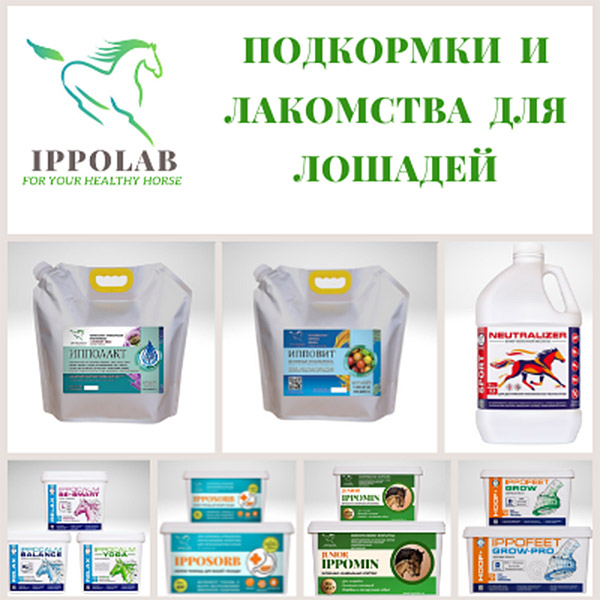 Встречайте: Подкормки и лакомства для лошадей IPPOLAB™ (НПО ПРОБИО)