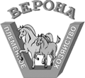 Verona Equestrian Sports Club